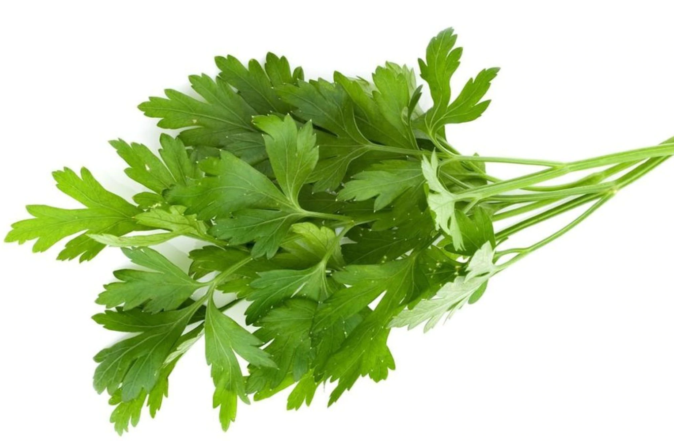 Parsley